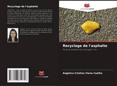 Bookcover of Recyclage de l'asphalte