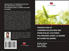 Borítókép a  PRODUCTION ET COMMERCIALISATION DES PRINCIPALES CULTURES PULVÉRISÉES DANS LA BANDE DE KANDI DE JAMMU - hoz