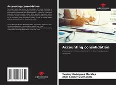 Bookcover of Accounting consolidation
