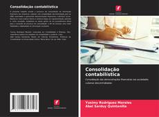 Consolidação contabilística的封面