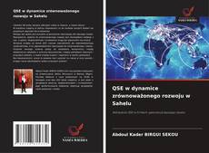 QSE w dynamice zrównoważonego rozwoju w Sahelu kitap kapağı