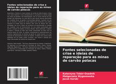 Buchcover von Fontes selecionadas de crise e ideias de reparação para as minas de carvão polacas