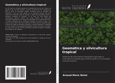 Geomática y silvicultura tropical的封面
