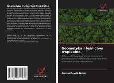 Обложка Geomatyka i leśnictwo tropikalne