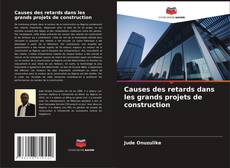 Causes des retards dans les grands projets de construction的封面