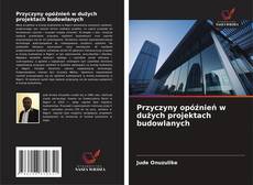 Couverture de Przyczyny opóźnień w dużych projektach budowlanych