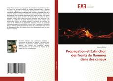 Capa do livro de Propagation et Extinction des fronts de flammes dans des canaux 