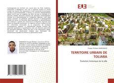 Copertina di TERRITOIRE URBAIN DE TOLIARA