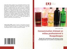 Consommation d'alcool en milieu professionnel à Ouagadougou的封面