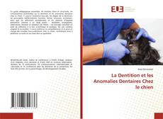 La Dentition et les Anomalies Dentaires Chez le chien的封面