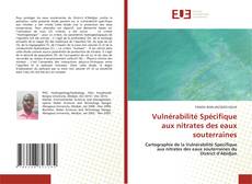 Vulnérabilité spécifique des eaux souterraines aux nitrates kitap kapağı