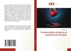 Copertina di Transmutation du genre et question des énergies