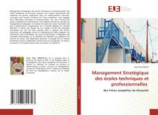 Management Stratégique des écoles techniques et professionnelles的封面