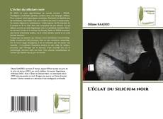 Обложка L'éclat du silicium noir