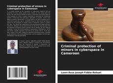 Copertina di Criminal protection of minors in cyberspace in Cameroon