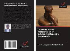 Ochrona karna małoletnich w cyberprzestrzeni w Kamerunie kitap kapağı