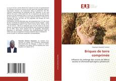 Briques de terre comprimée的封面