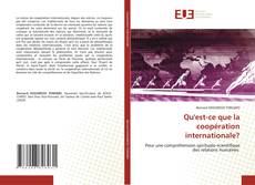 Qu'est-ce que la coopération internationale?的封面