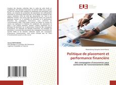 Politique de placement et performance financière kitap kapağı