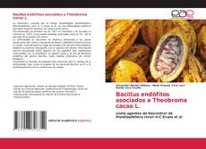 Capa do livro de Bacillus endófitos asociados a Theobroma cacao L. 