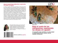 Capa do livro de Bajo el vuelo de los meliponinos: explorando las abejas sin aguijón 
