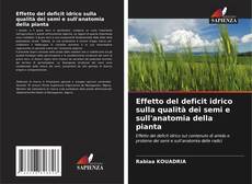 Portada del libro de Effetto del deficit idrico sulla qualità dei semi e sull'anatomia della pianta