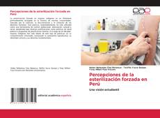 Borítókép a  Percepciones de la esterilización forzada en Perú - hoz