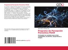 Programa de Percepción Preventiva PDAR的封面