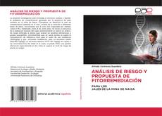 Capa do livro de ANÁLISIS DE RIESGO Y PROPUESTA DE FITORREMEDIACIÓN 