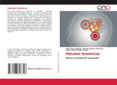 Borítókép a  Métodos Numéricos - hoz
