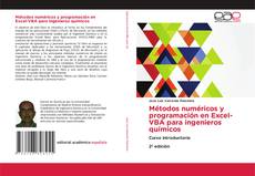 Borítókép a  Métodos numéricos y programación en Excel-VBA para ingenieros químicos - hoz