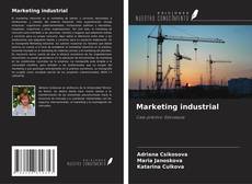Buchcover von Marketing industrial
