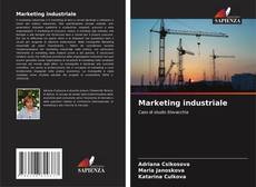 Buchcover von Marketing industriale