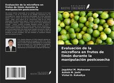 Evaluación de la microflora en frutos de limón durante la manipulación postcosecha kitap kapağı