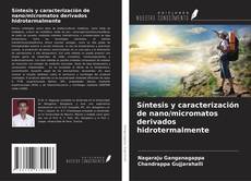 Buchcover von Síntesis y caracterización de nano/micromatos derivados hidrotermalmente