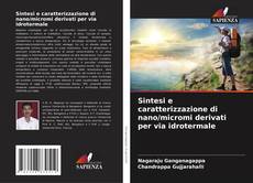 Bookcover of Sintesi e caratterizzazione di nano/micromi derivati per via idrotermale