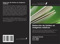 Buchcover von Detección de límites en imágenes médicas