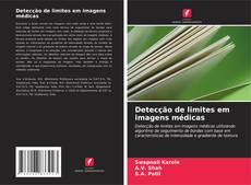 Buchcover von Detecção de limites em imagens médicas