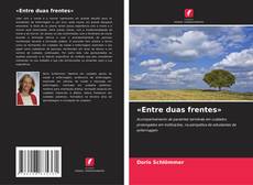 Обложка «Entre duas frentes»