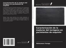 Buchcover von Caracterización de la madurez del kerógeno en yacimientos de esquisto