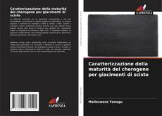 Portada del libro de Caratterizzazione della maturità del cherogene per giacimenti di scisto