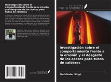 Buchcover von Investigación sobre el comportamiento frente a la erosión y el desgaste de los aceros para tubos de calderas