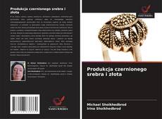 Produkcja czernionego srebra i złota的封面