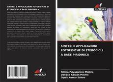 Buchcover von SINTESI E APPLICAZIONI FOTOFISICHE DI ETEROCICLI A BASE PIRIDINICA