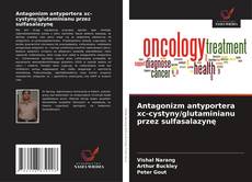 Antagonizm antyportera xc-cystyny/glutaminianu przez sulfasalazynę的封面