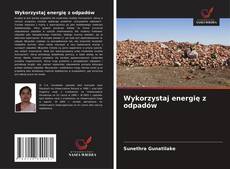 Bookcover of Wykorzystaj energię z odpadów