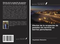 Buchcover von Efectos de la ocupación de puestos sin servicio en barrios periurbanos