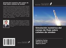 Buchcover von Simulación numérica del campo de flujo sobre cohetes de sondeo