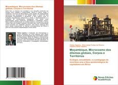 Copertina di Moçambique, Microcosmo dos dilemas globais, Corpos e Territórios