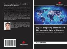 Copertina di Impact of opening channels and FDI on productivity in Morocco